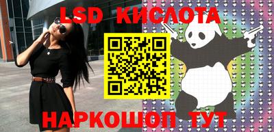 крисы Баксан