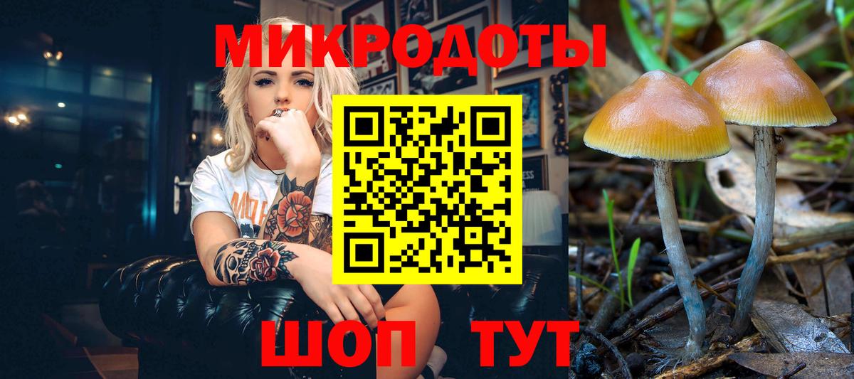 Псилоцибиновые грибы Psilocybe  Вход с VPN  Александров  Псилоцибиновые грибы мицелий 