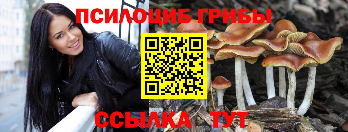 Галлюциногенные грибы MAGIC MUSHROOMS Александров